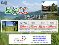 12월 보성cc 골프패키지