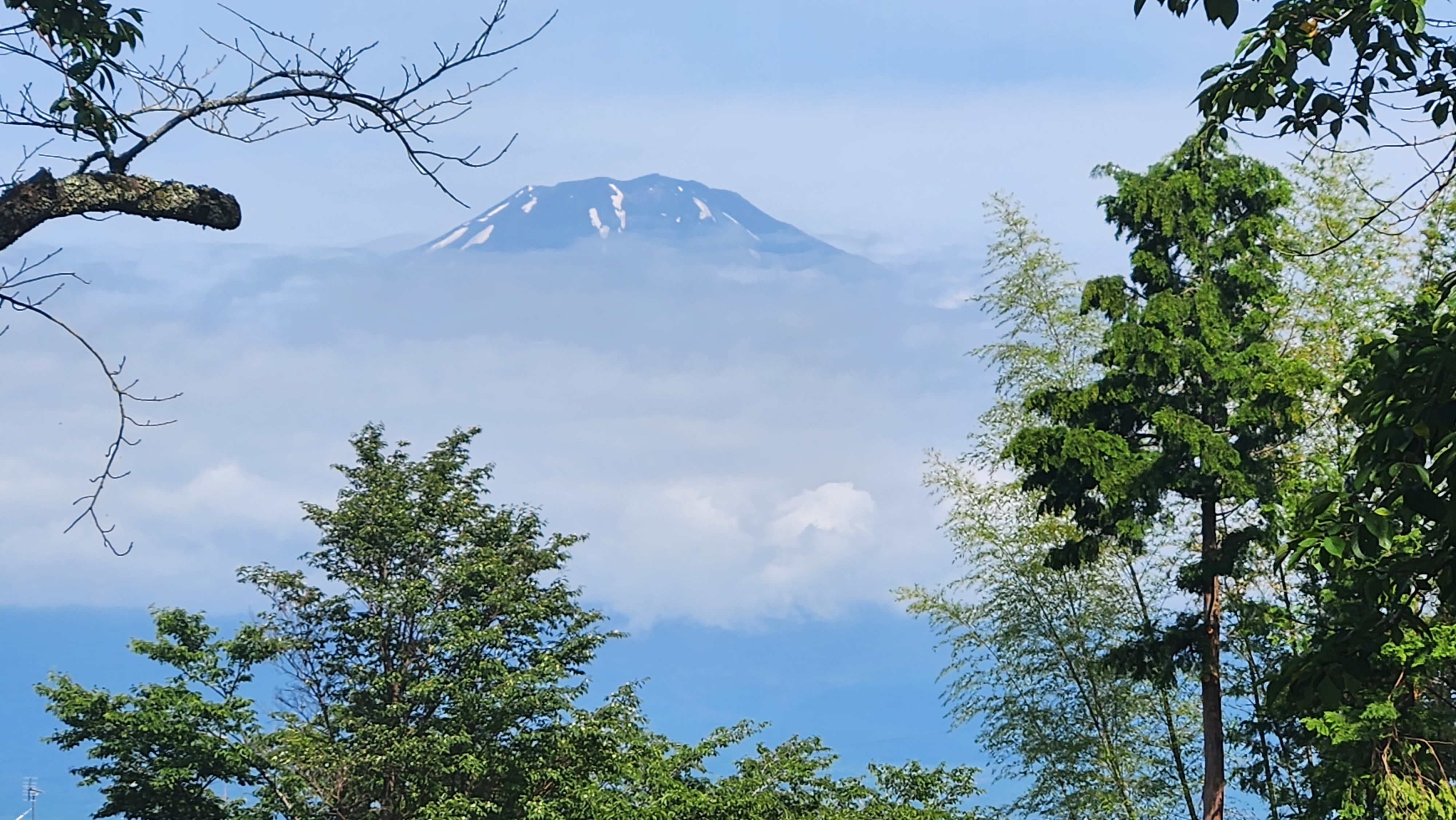 후지산골프+도쿄핵심관광/요코하마 부산출발 인천출발